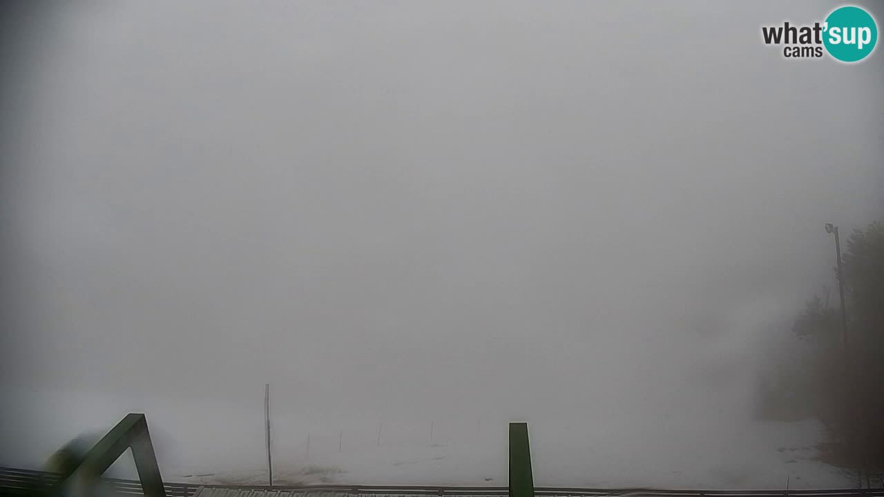 Pohorje Webcam | Sleme Talstation