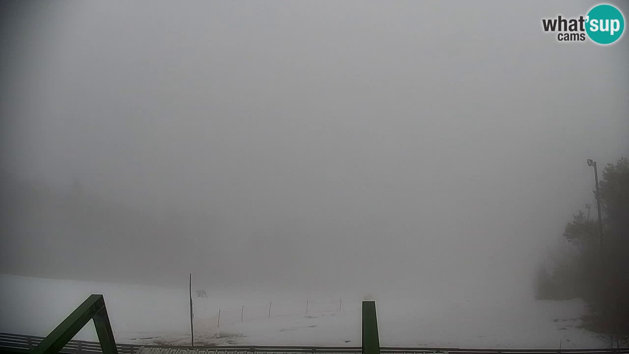 Webcam Pohorje | Estación Inferior de Sleme