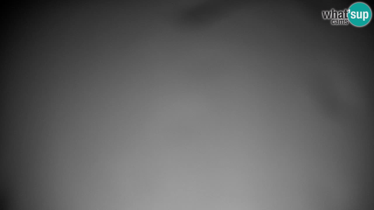 Pohorje webcam | Sleme lower station