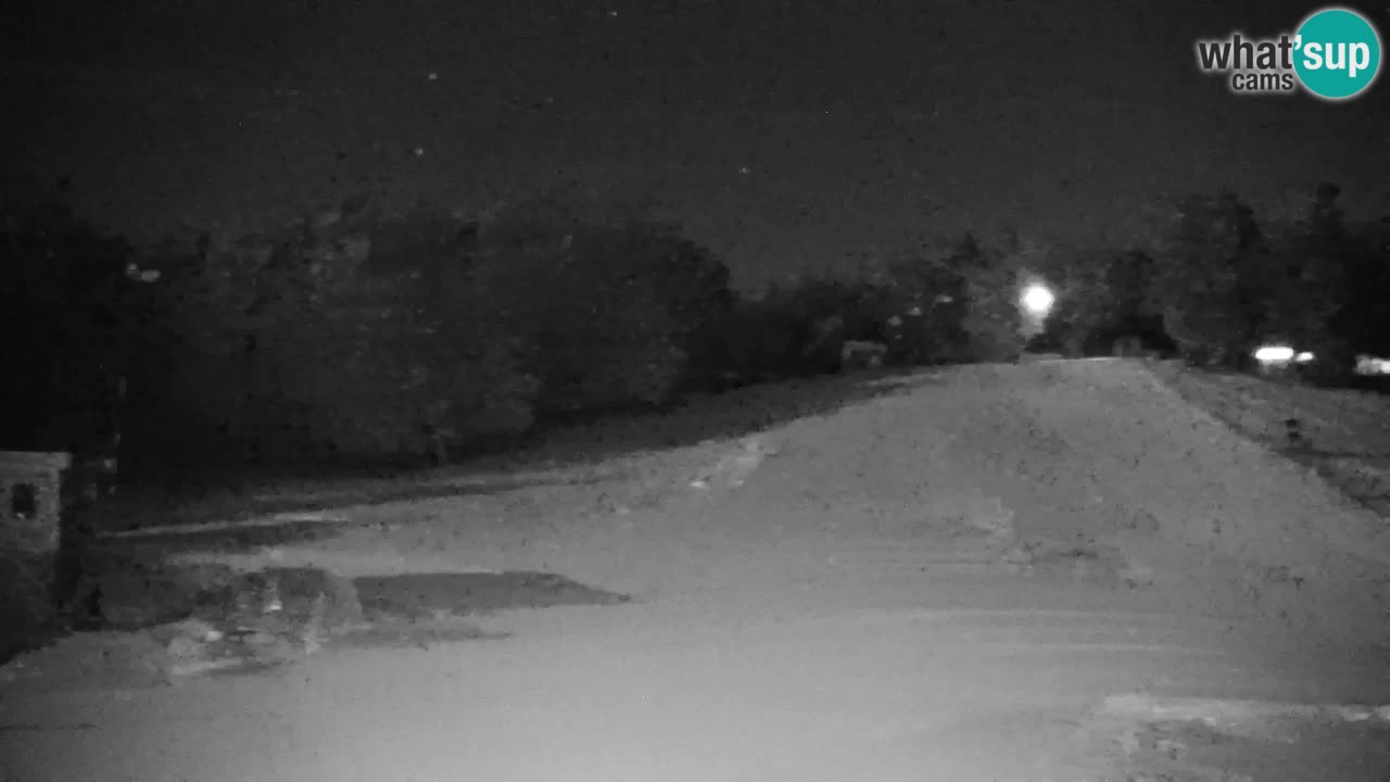 Pohorje webcam | Sleme lower station