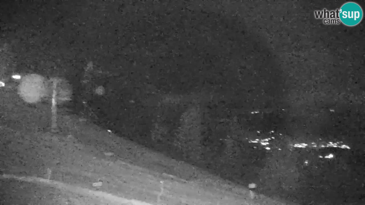 Pohorje Webcam | Sleme Talstation