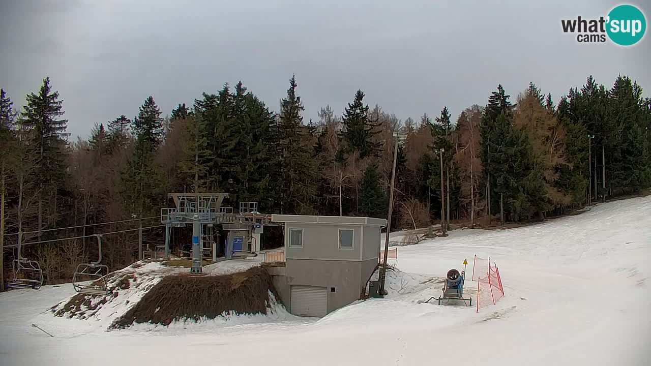 Webcam Pohorje | Stazione Inferiore Sleme