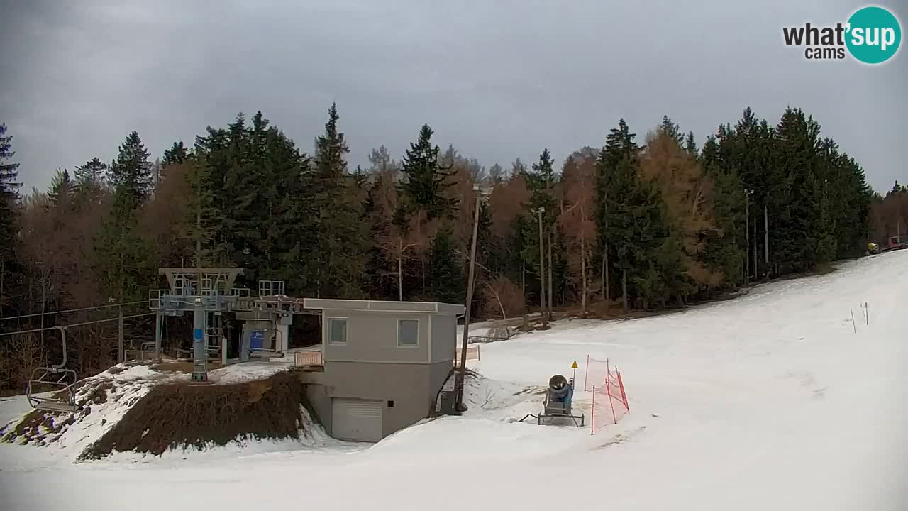 Pohorje Webcam | Sleme Talstation
