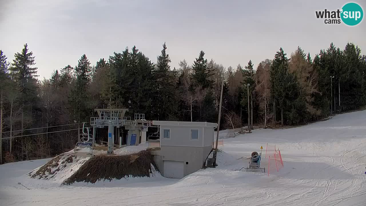 Pohorje Webcam | Sleme Talstation