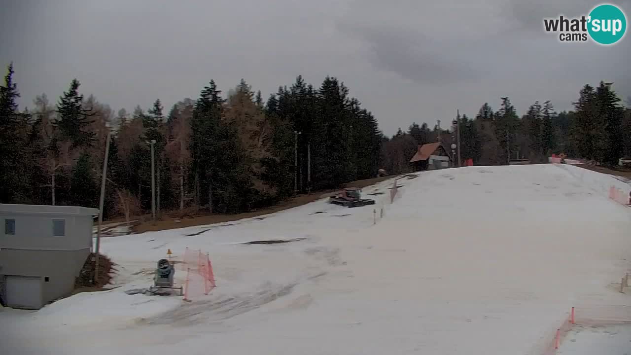 Pohorje spletna kamera | Spodnja postaja Sleme