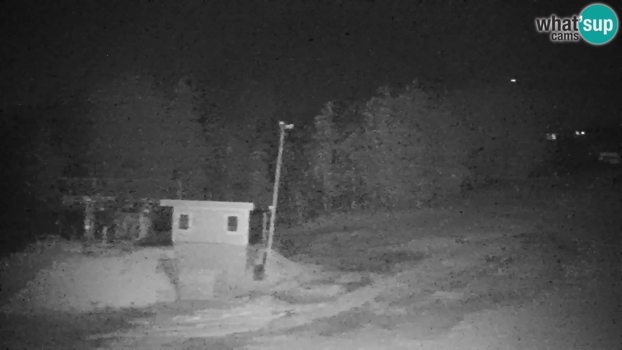 Pohorje Webcam | Sleme Talstation