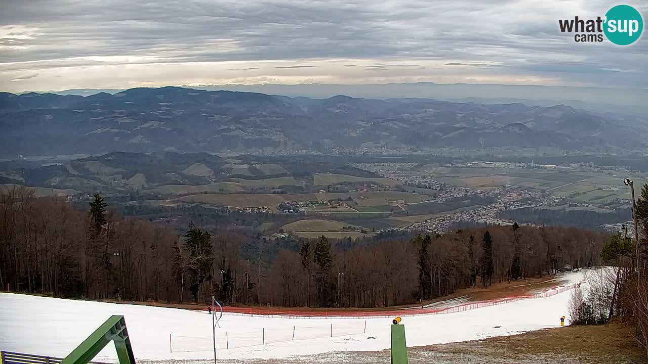 Webcam Pohorje | Station Sleme