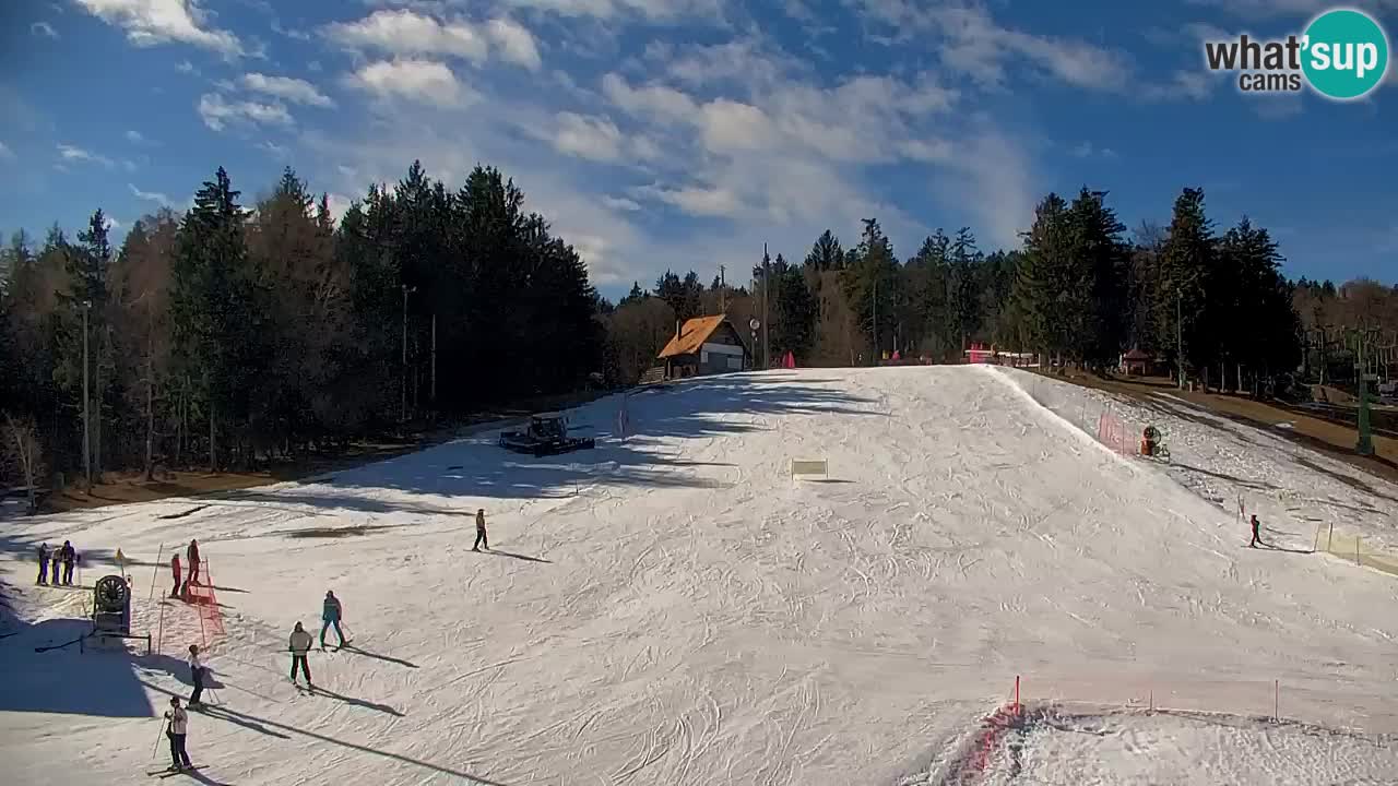 Webcam Pohorje | Station Sleme