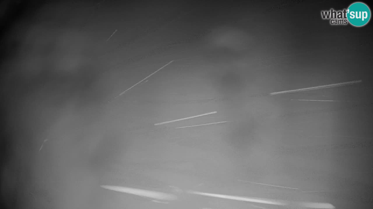 Pohorje Webcam | Sleme Talstation