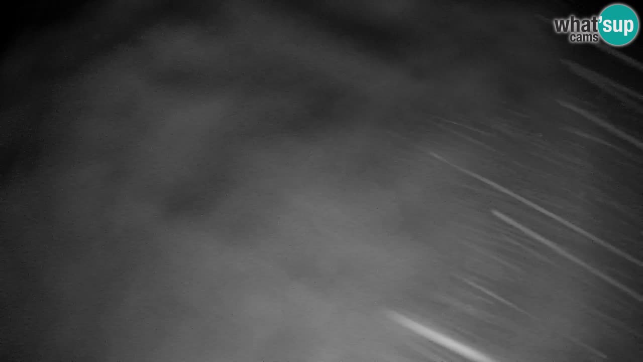 Pohorje Webcam | Sleme Talstation