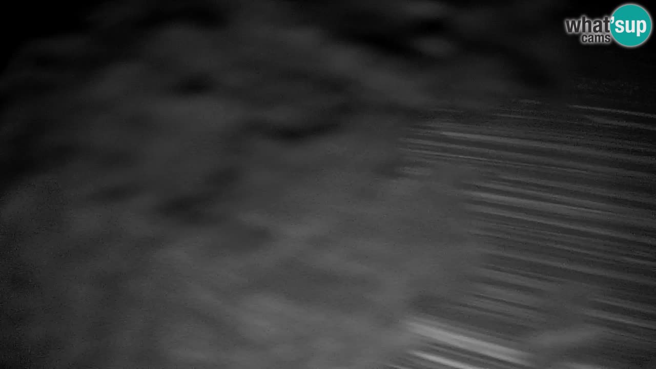 Webcam Pohorje | Station Sleme