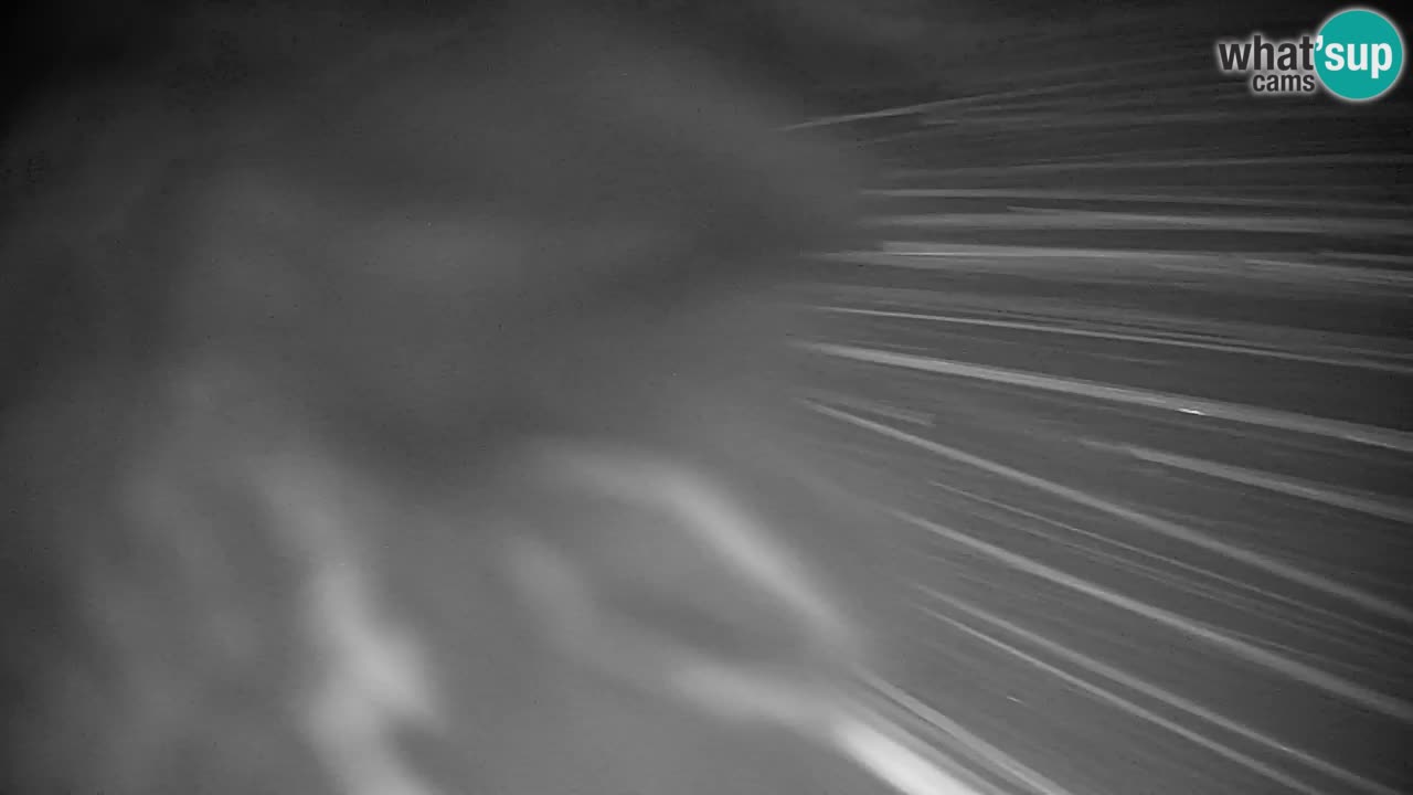 Pohorje webcam | Sleme lower station