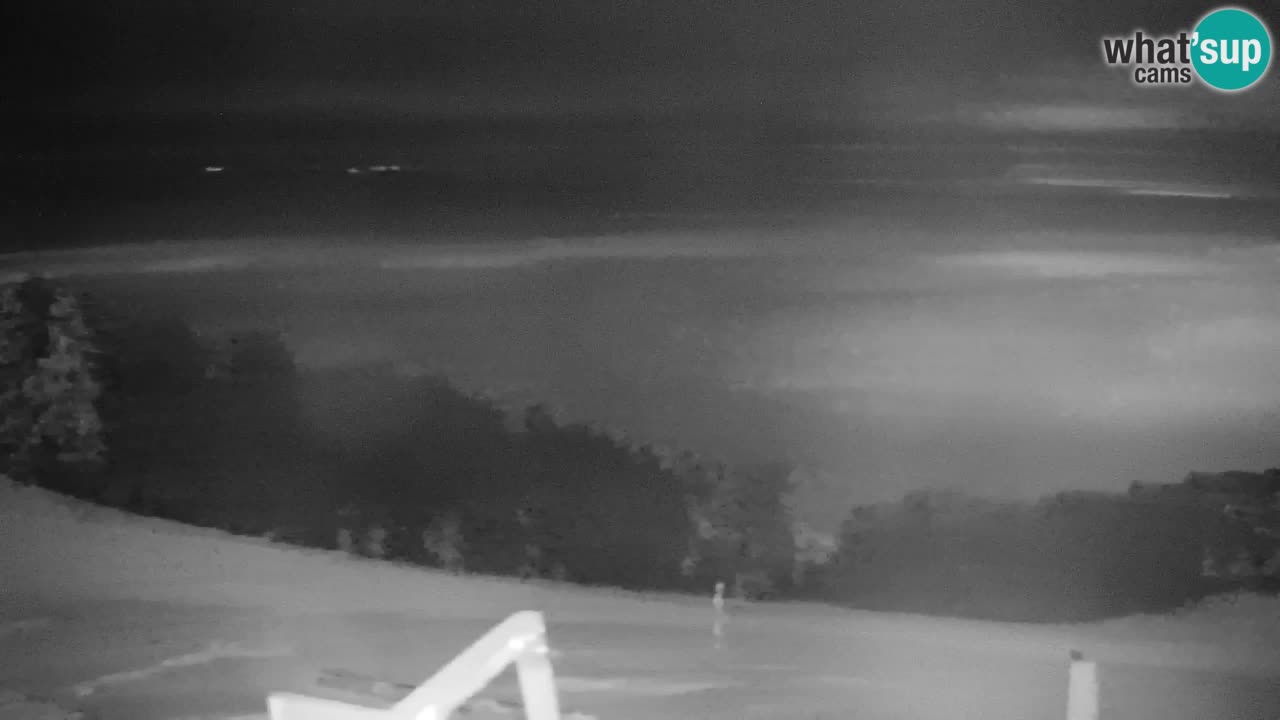 Pohorje Webcam | Sleme Talstation