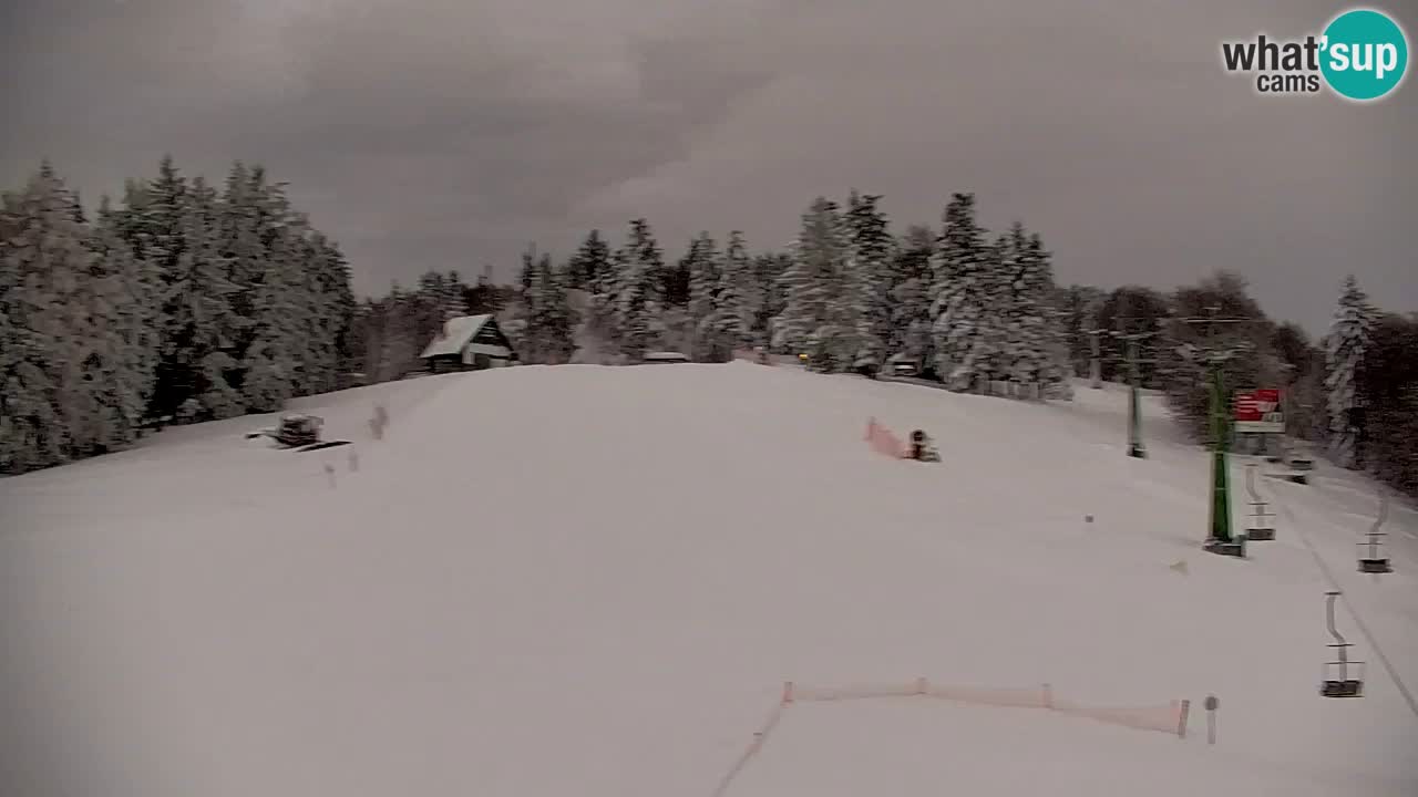 Pohorje Webcam | Sleme Talstation