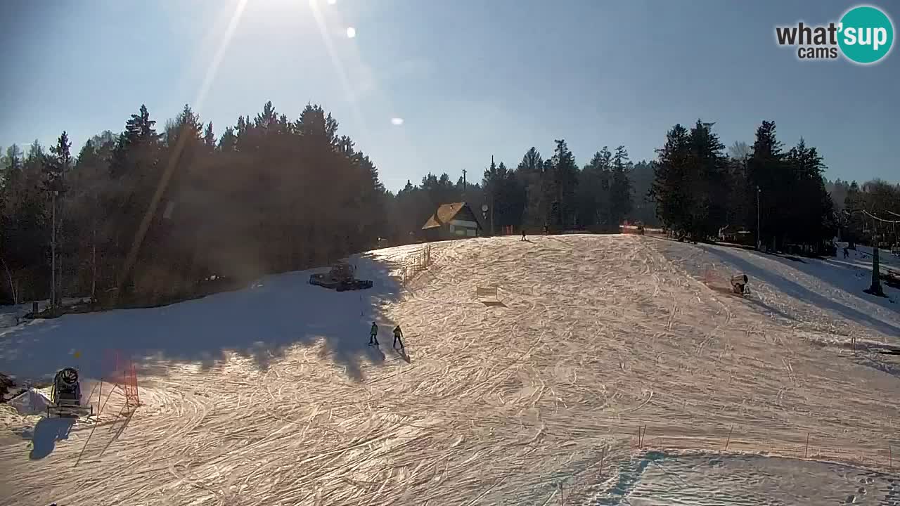 Pohorje Web kamera | Sleme Donja Stanica