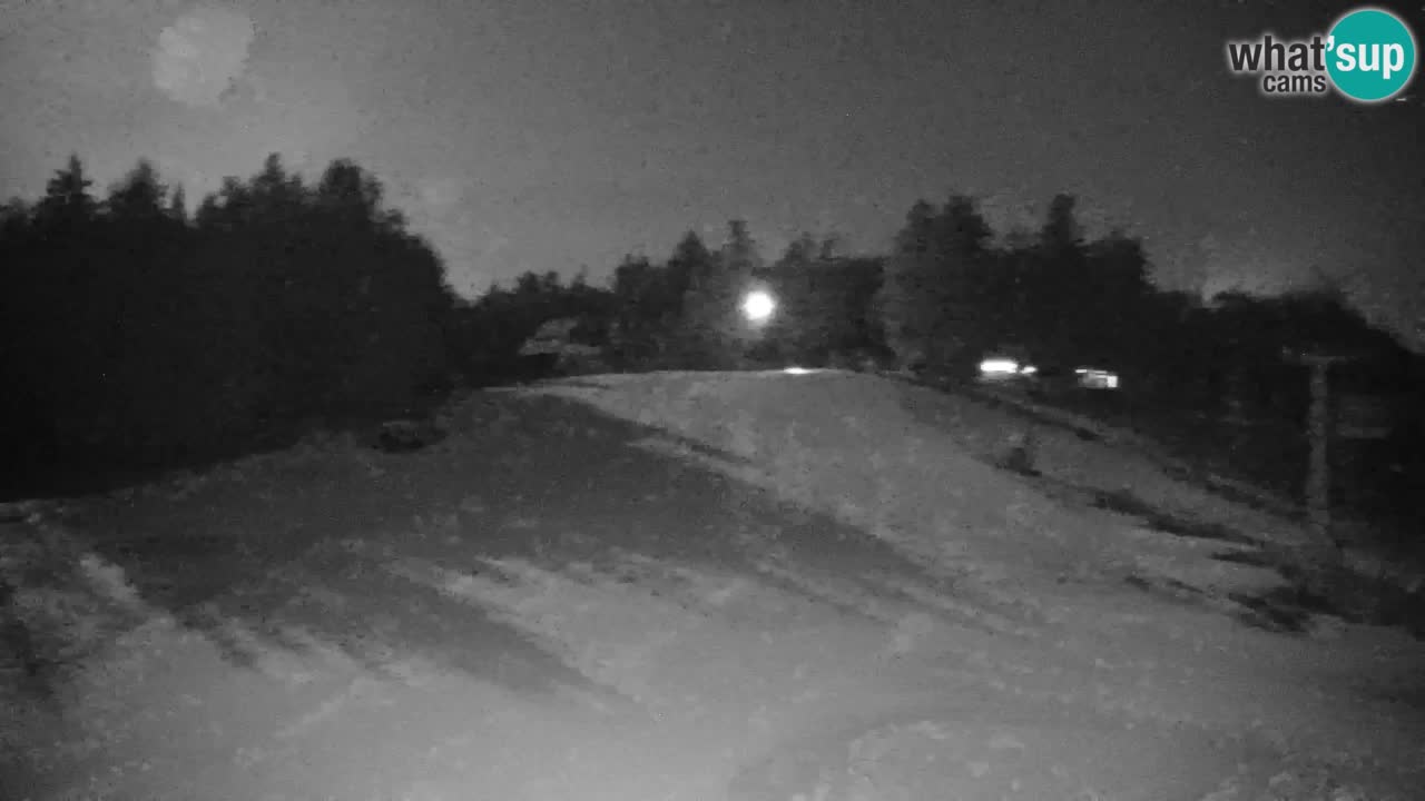 Pohorje Webcam | Sleme Talstation