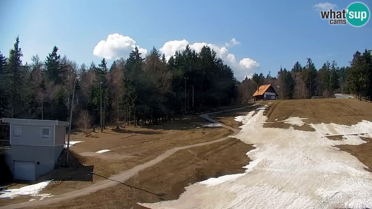 Pohorje Webcam | Sleme Talstation