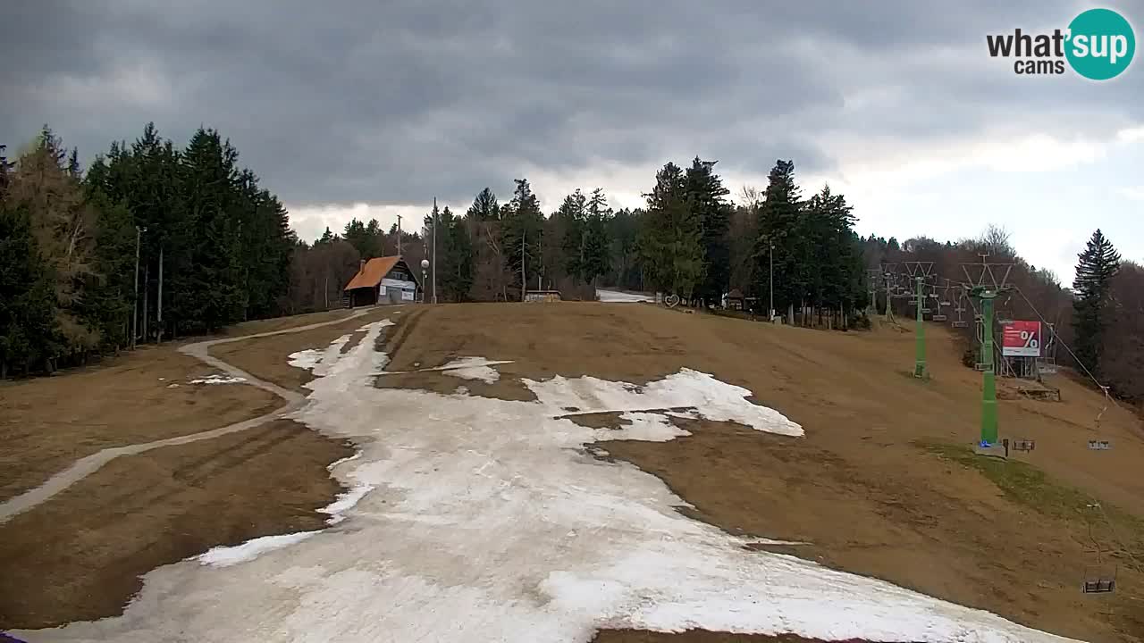 Webcam Pohorje | Station Sleme