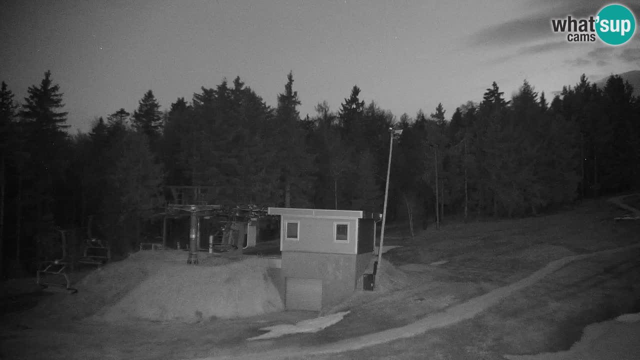 Pohorje Webcam | Sleme Talstation