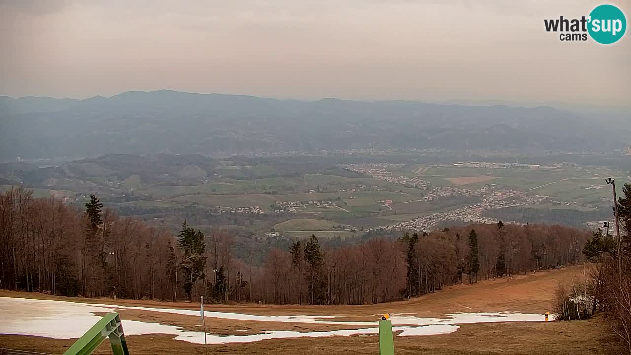Webcam Pohorje | Stazione Inferiore Sleme
