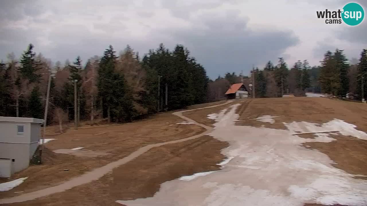 Pohorje spletna kamera | Spodnja postaja Sleme