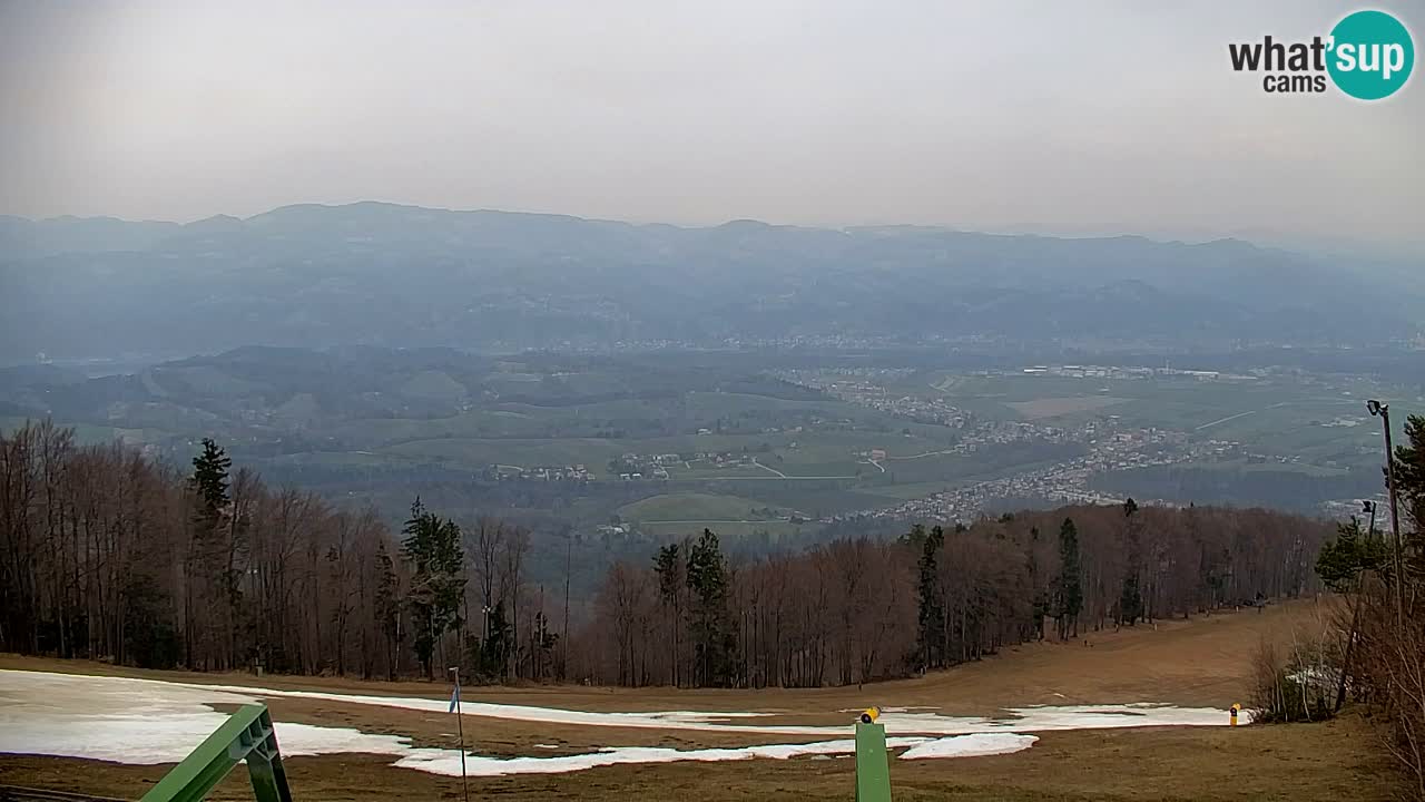 Webcam Pohorje | Station Sleme