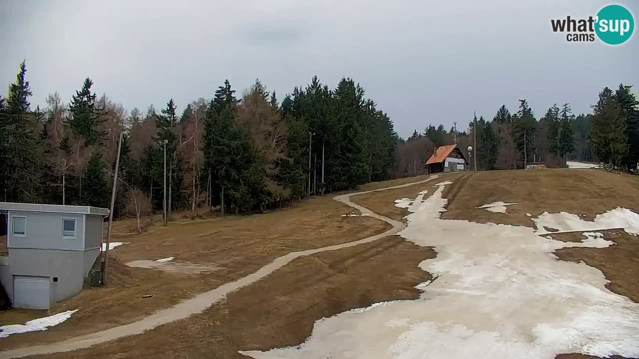Pohorje Webcam | Sleme Talstation