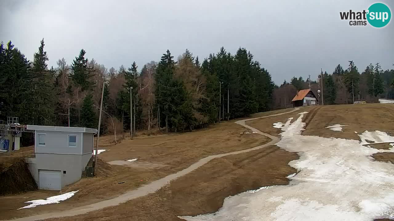 Pohorje webcam | Sleme lower station