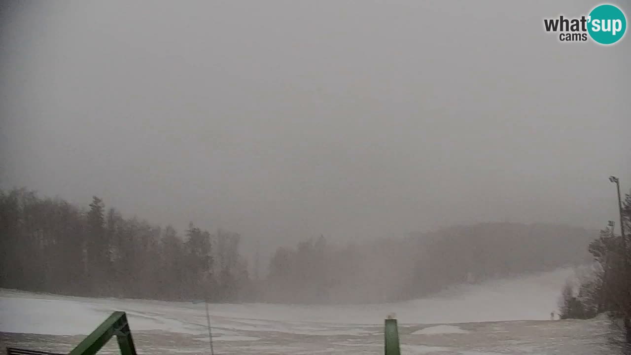 Pohorje webcam | Sleme lower station