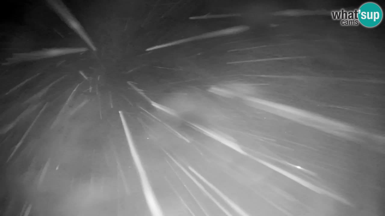 Webcam Pohorje | Stazione Inferiore Sleme