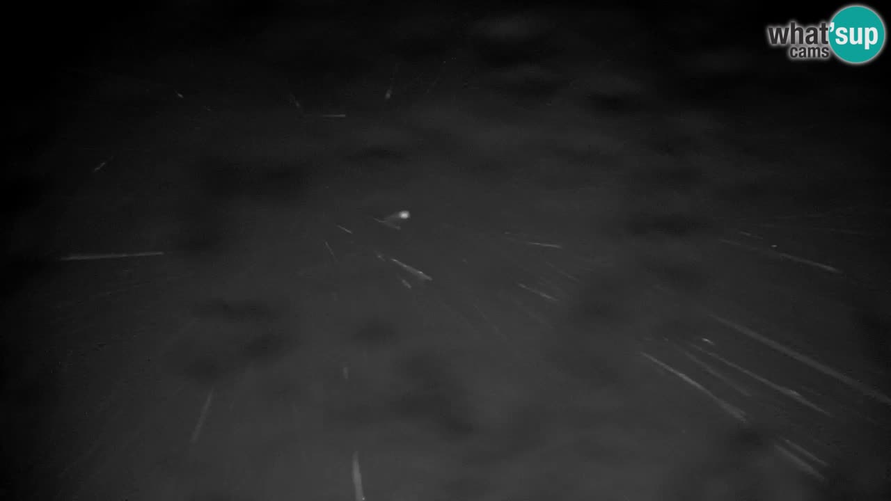 Pohorje webcam | Sleme lower station