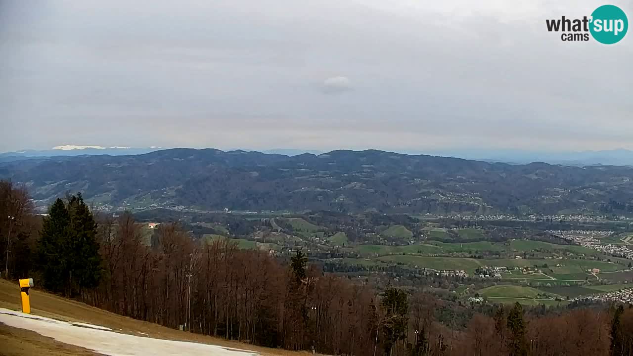 Webcam Pohorje | Station Sleme