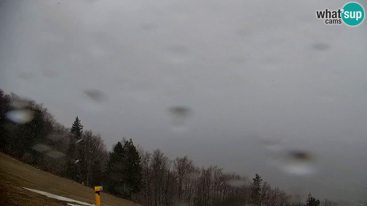 Pohorje Webcam | Sleme Talstation