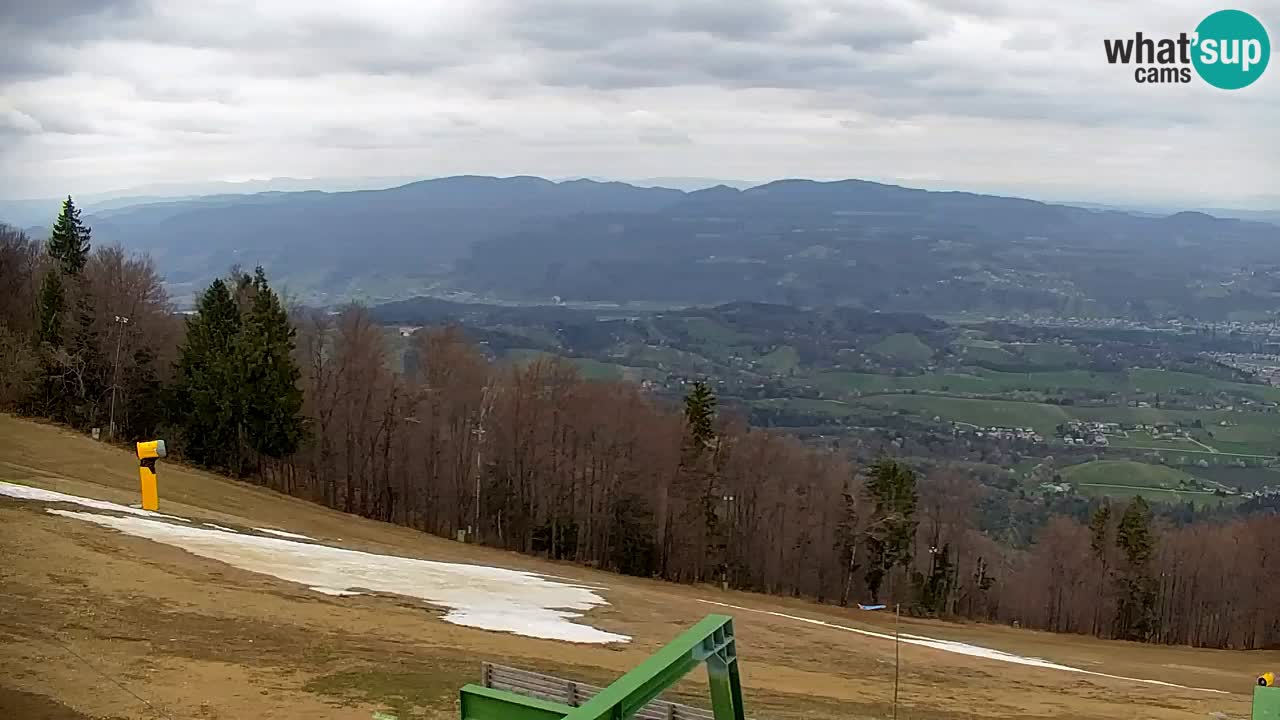 Webcam Pohorje | Station Sleme
