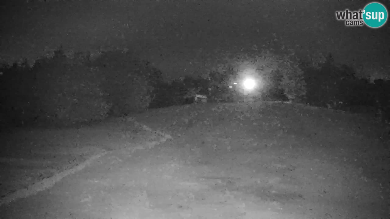 Pohorje Webcam | Sleme Talstation