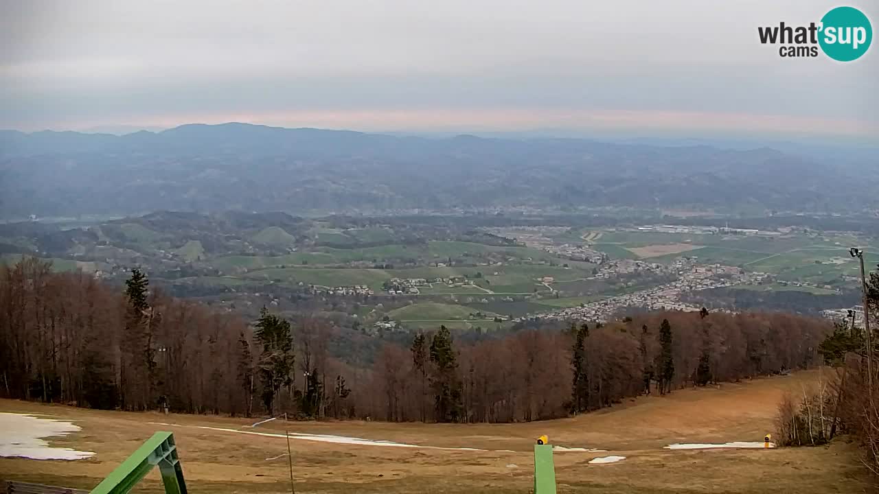 Pohorje Webcam | Sleme Talstation
