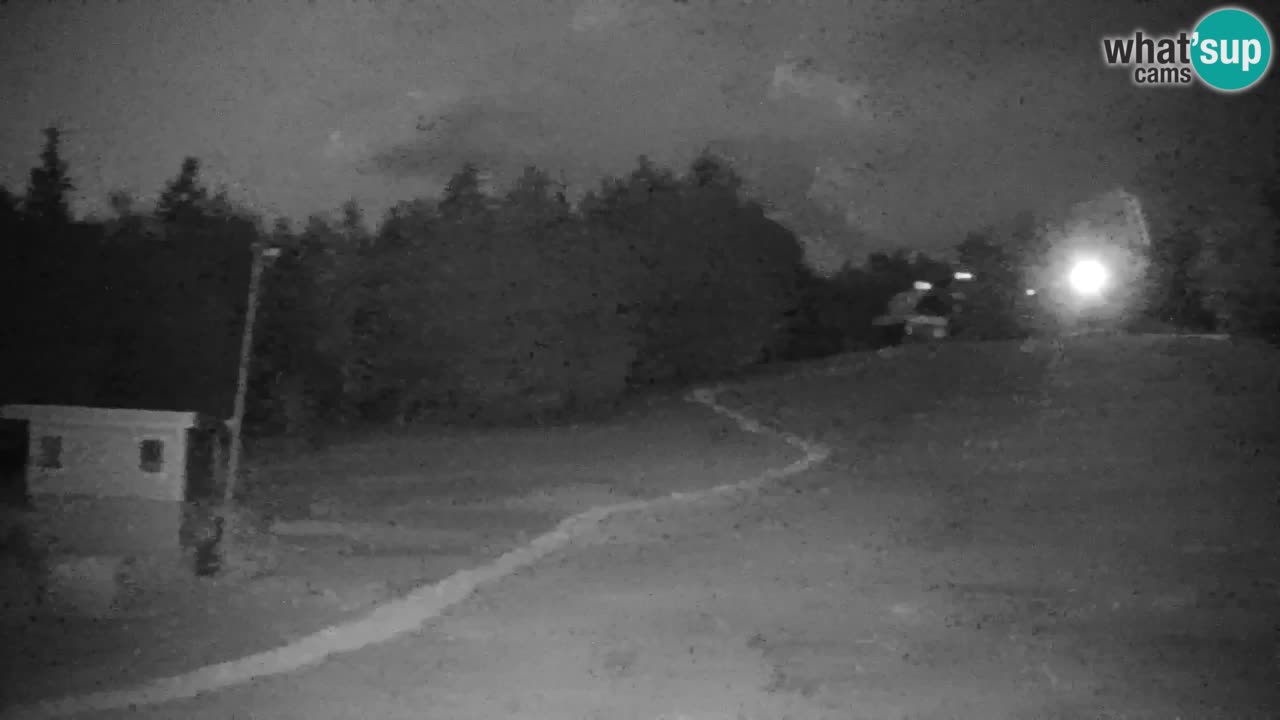 Pohorje Webcam | Sleme Talstation