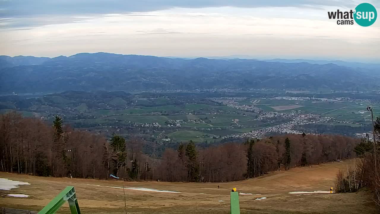 Webcam Pohorje | Station Sleme