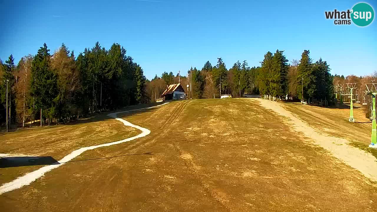 Pohorje webcam | Sleme lower station