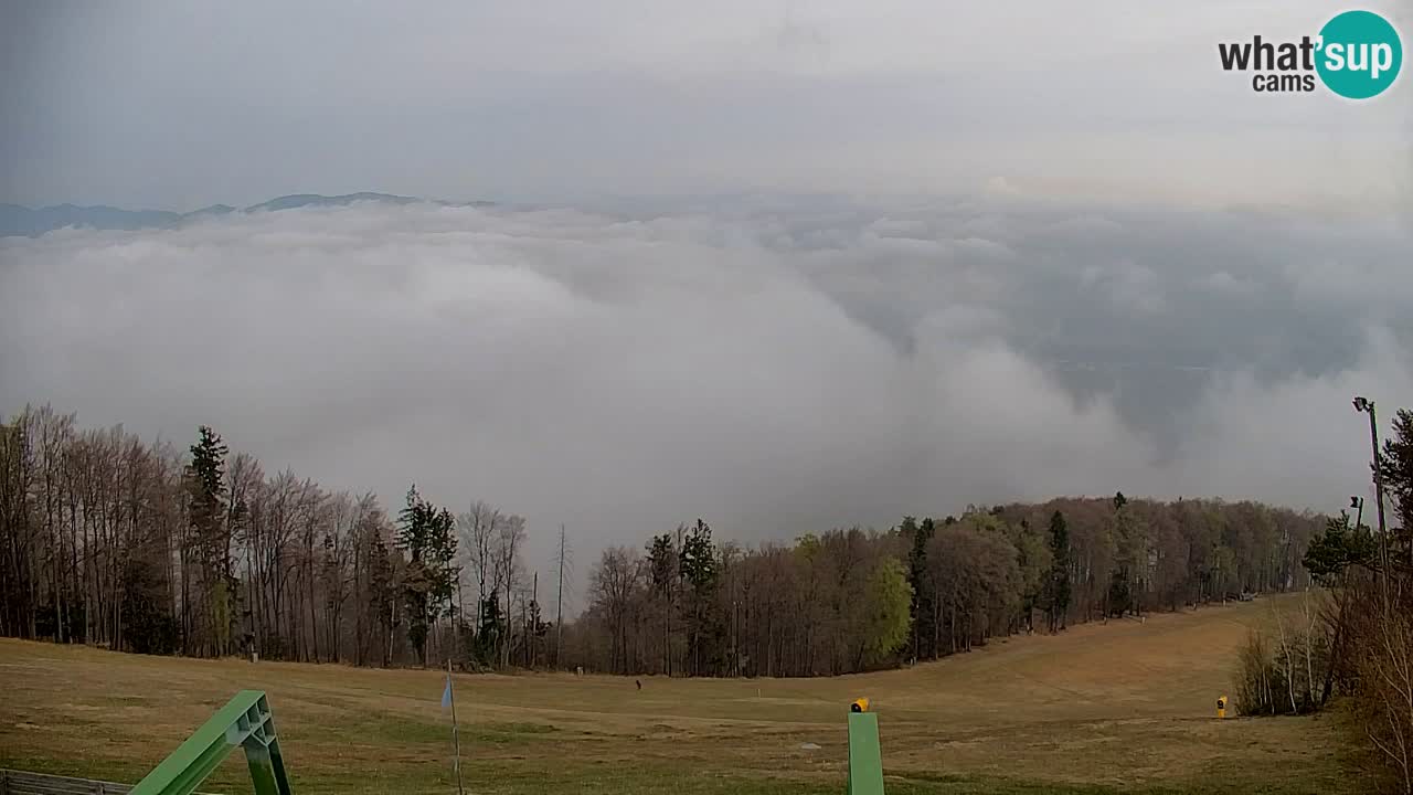 Webcam Pohorje | Station Sleme