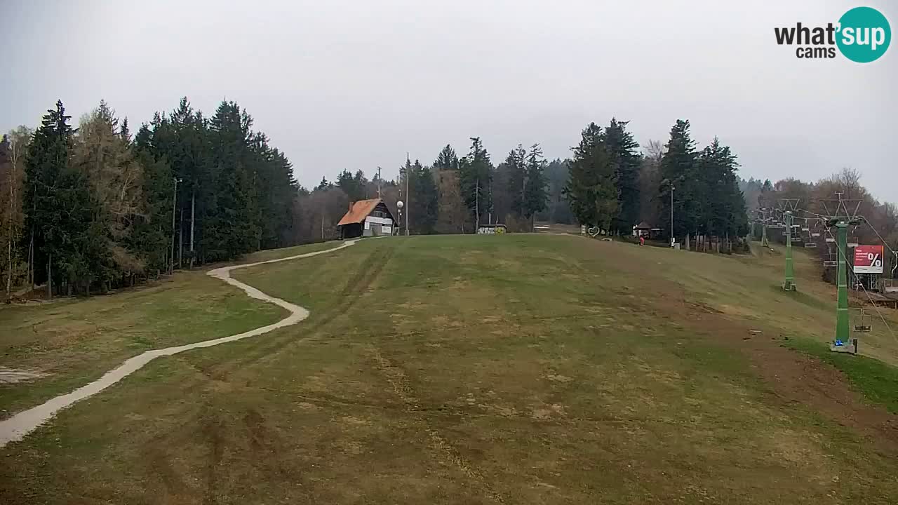 Pohorje spletna kamera | Spodnja postaja Sleme
