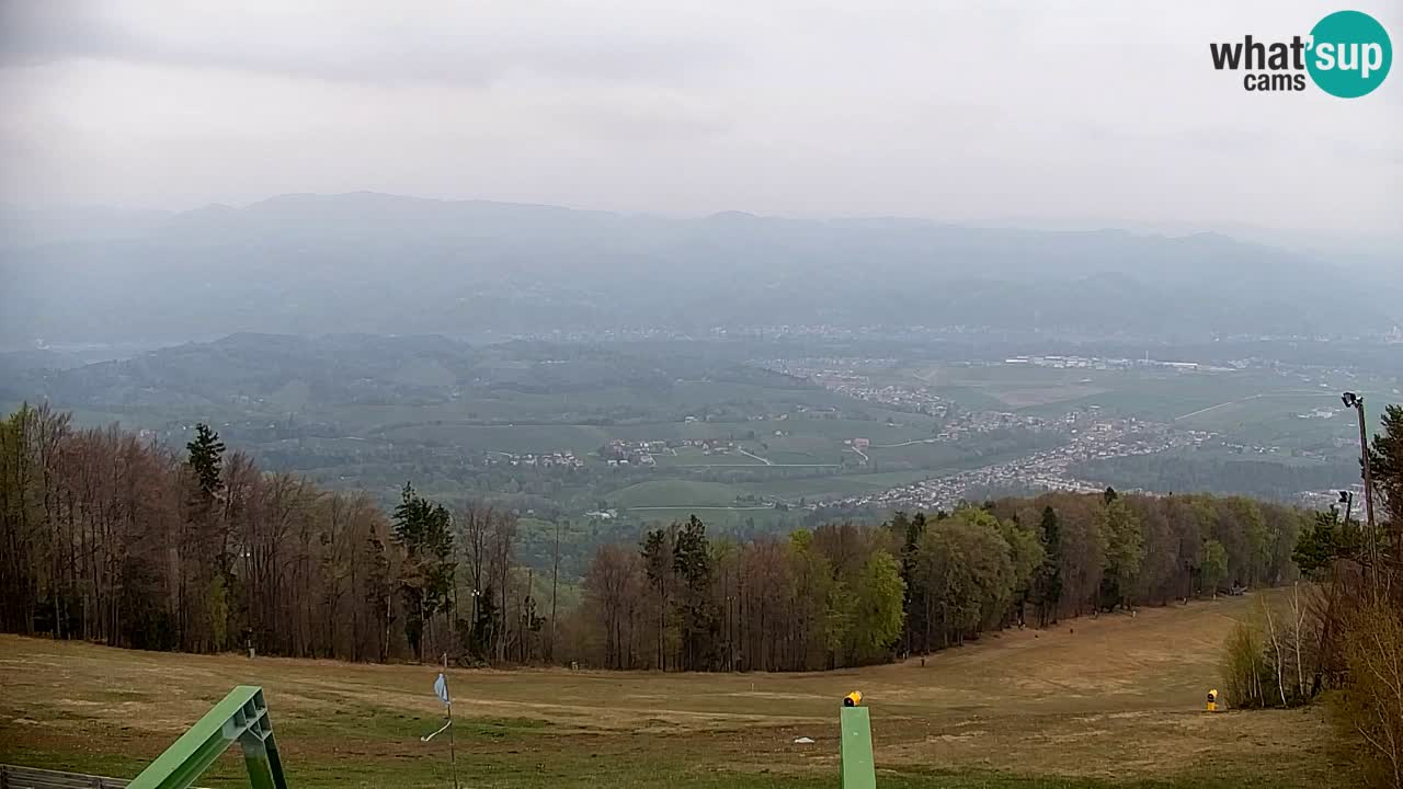 Pohorje Webcam | Sleme Talstation