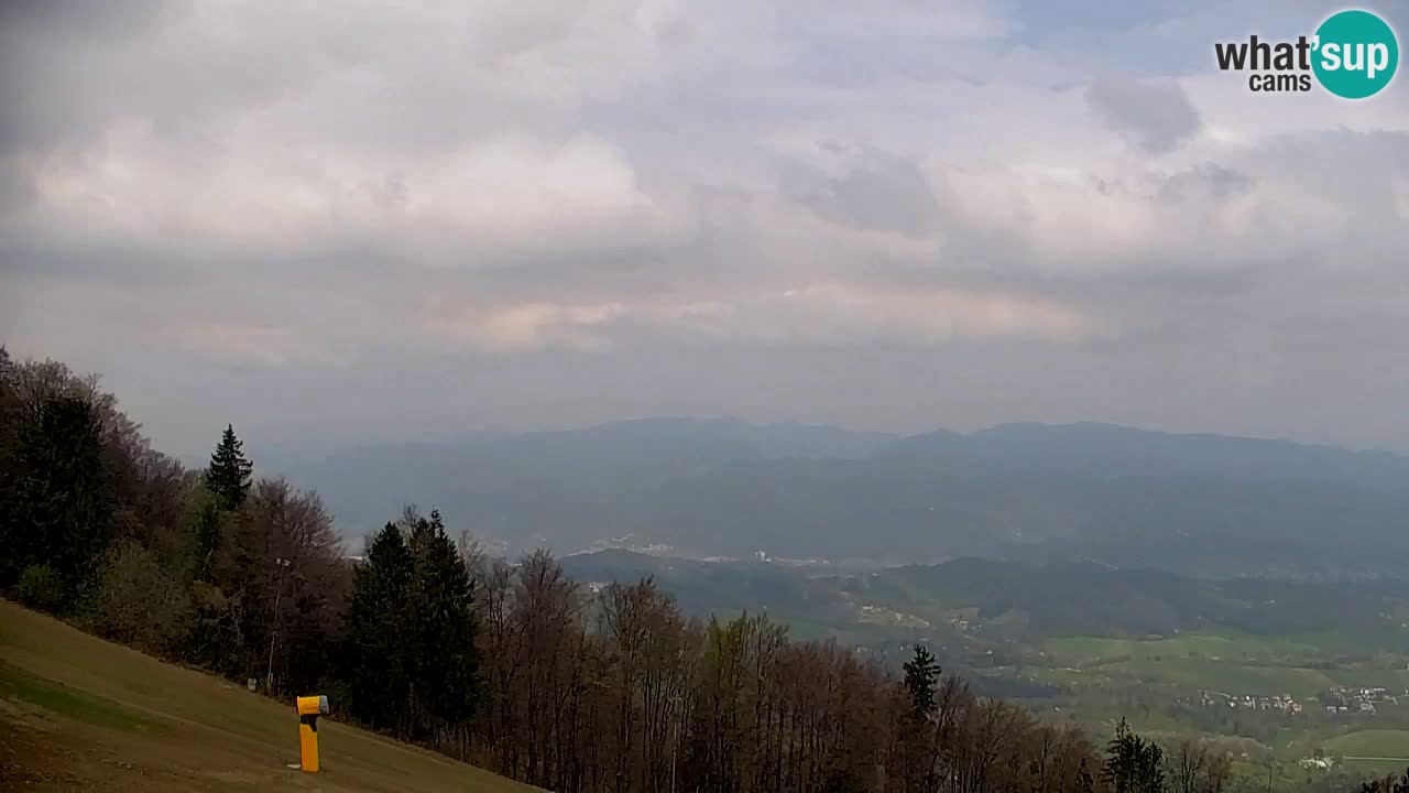 Webcam Pohorje | Station Sleme