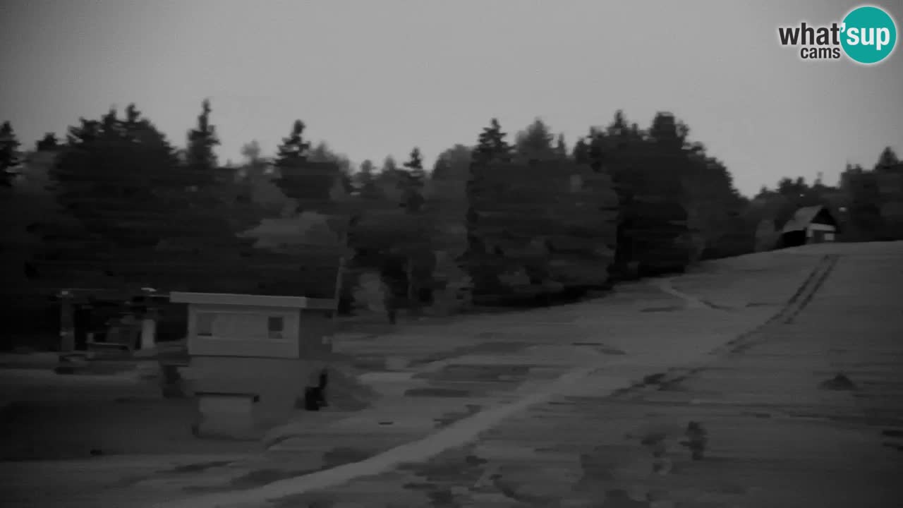 Webcam Pohorje | Stazione Inferiore Sleme