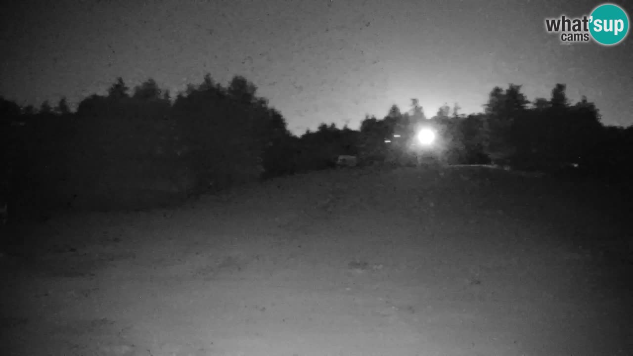 Pohorje spletna kamera | Spodnja postaja Sleme