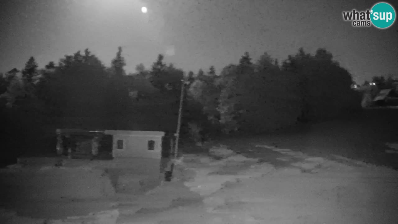 Pohorje Web kamera | Sleme Donja Stanica