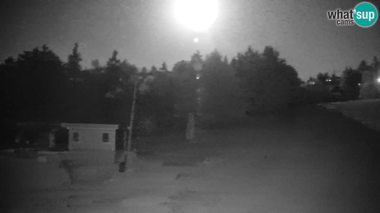 Pohorje Webcam | Sleme Talstation