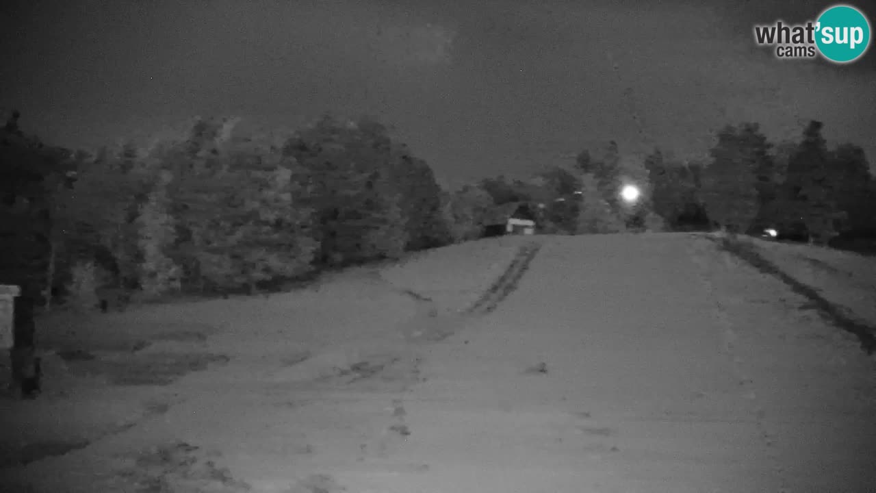 Pohorje spletna kamera | Spodnja postaja Sleme