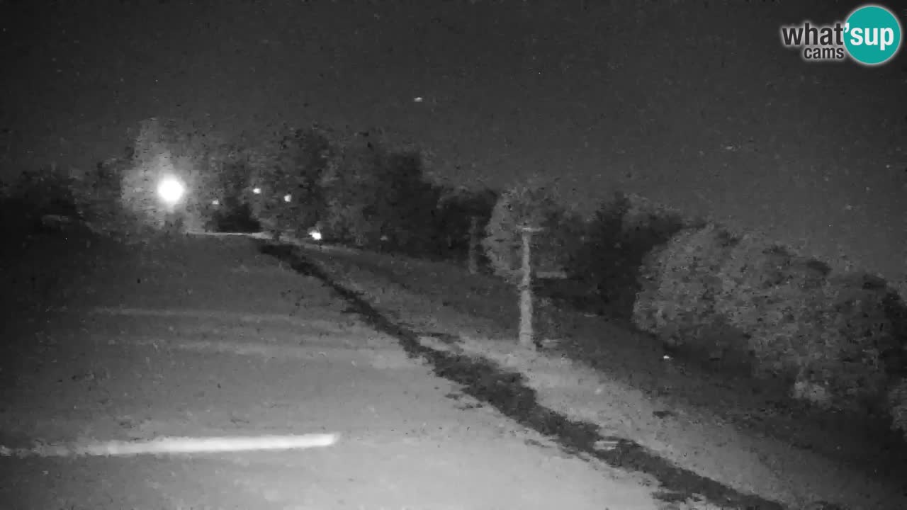 Webcam Pohorje | Station Sleme