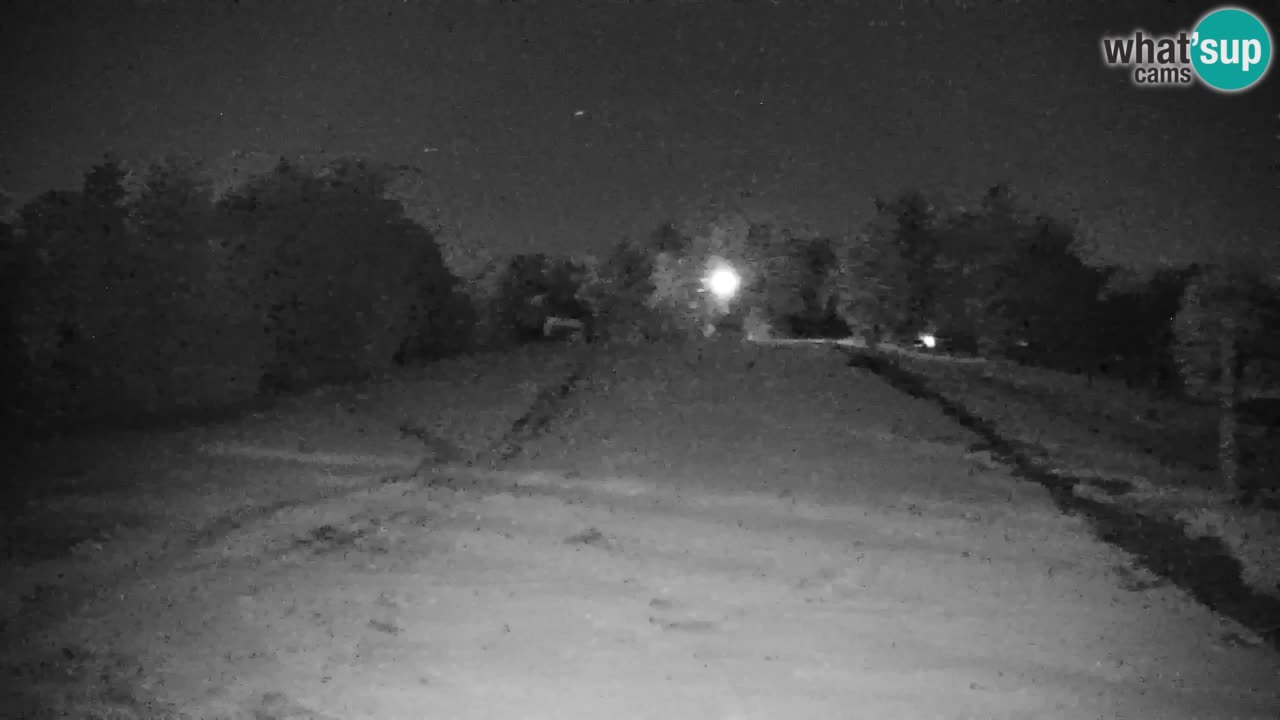 Pohorje Webcam | Sleme Talstation